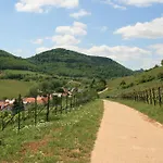 Pimer * Ranschbach